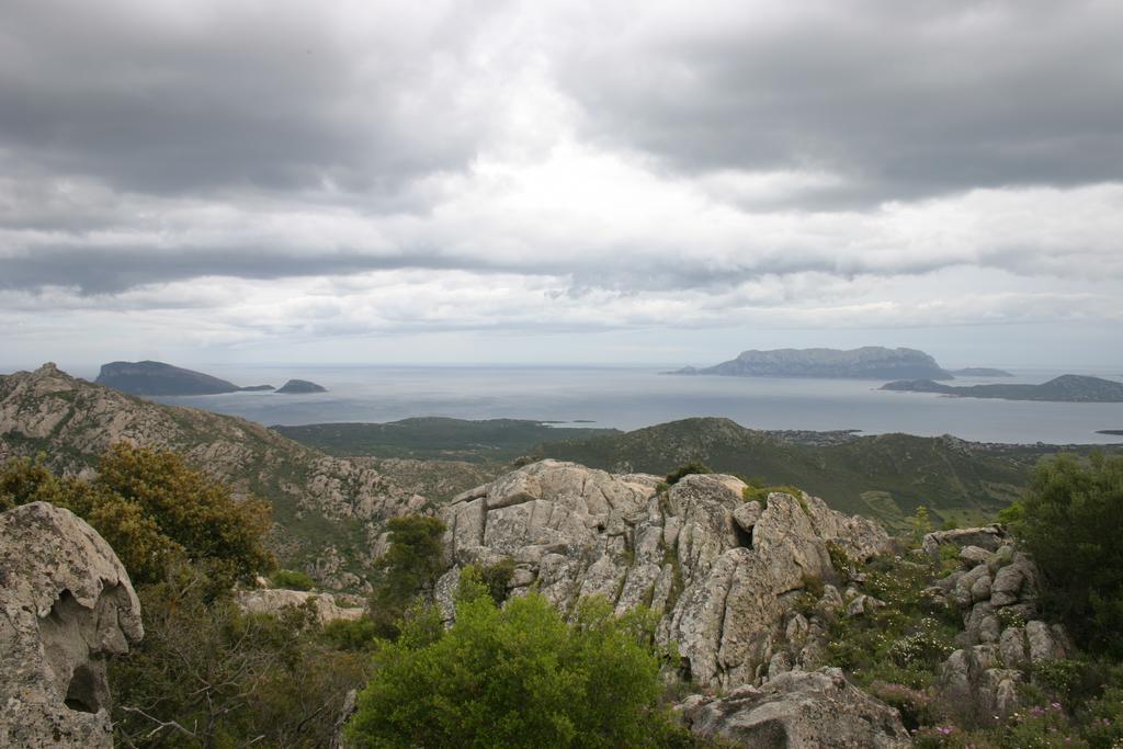 Agriturismo Cabu Abbas Villa Olbia Dış mekan fotoğraf