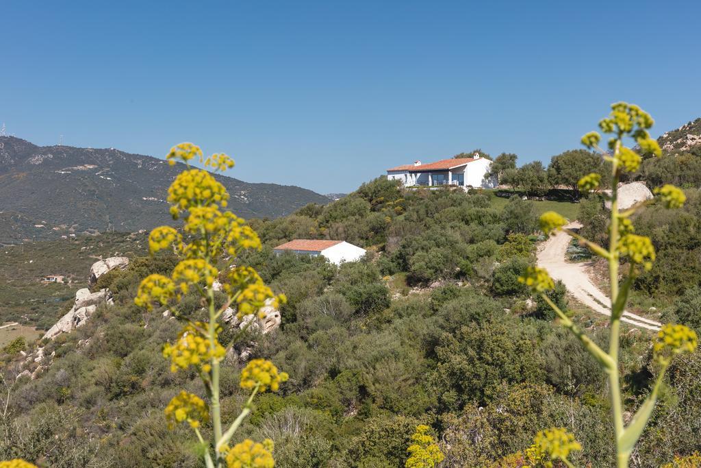 Agriturismo Cabu Abbas Villa Olbia Dış mekan fotoğraf